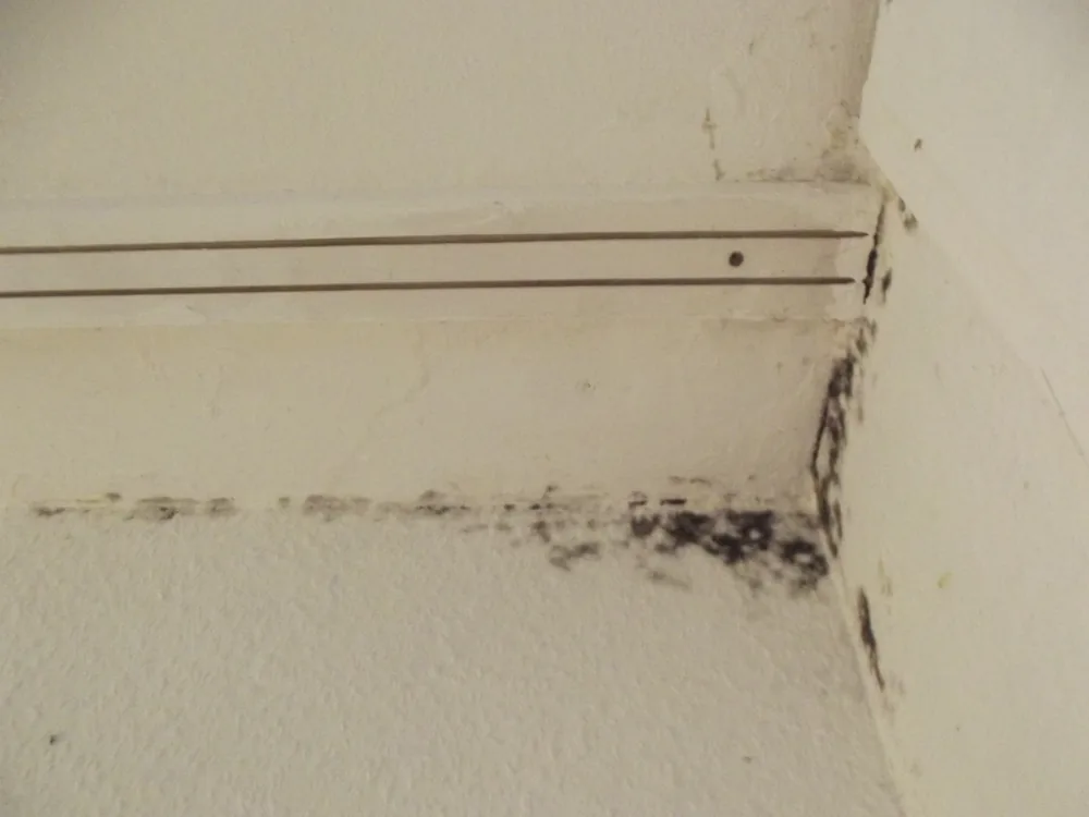 Technician in protective gear removing a mold-damaged wall in a New Providence home